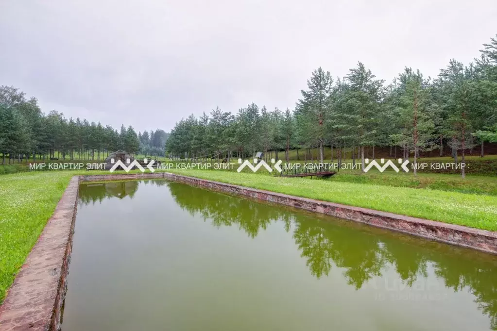 Участок в Ленинградская область, Ломоносовский район, Лопухинское ... - Фото 1