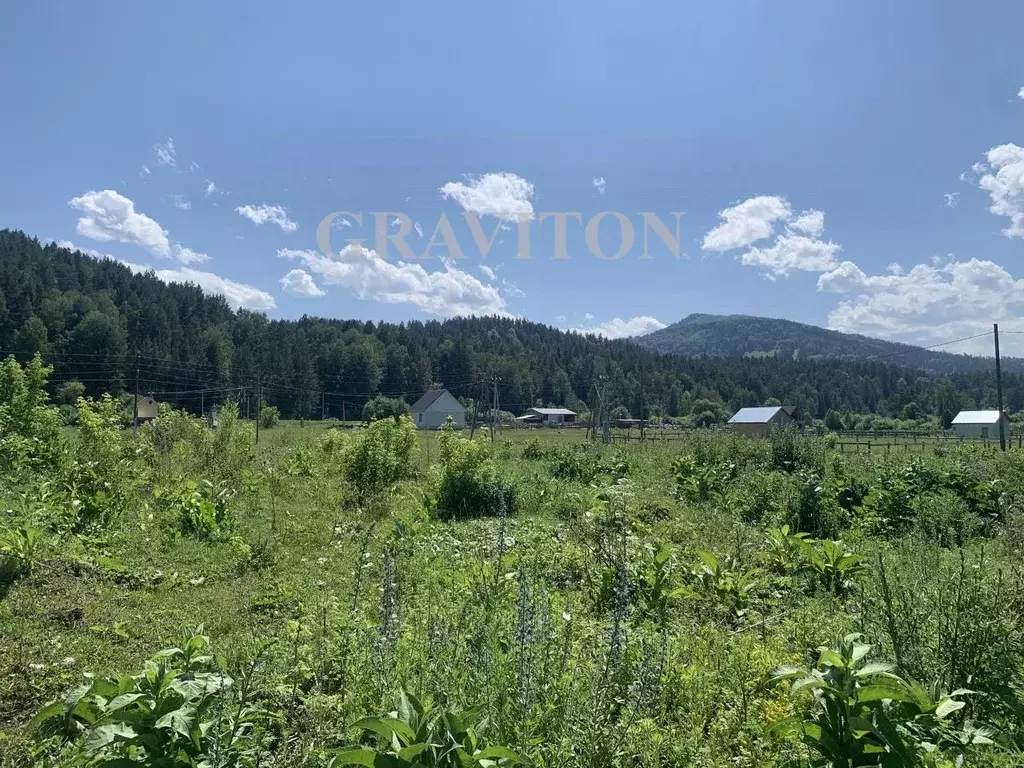 Участок в Алтай, Майминский район, с. Кызыл-Озек Советская ул. (10.0 ... - Фото 1