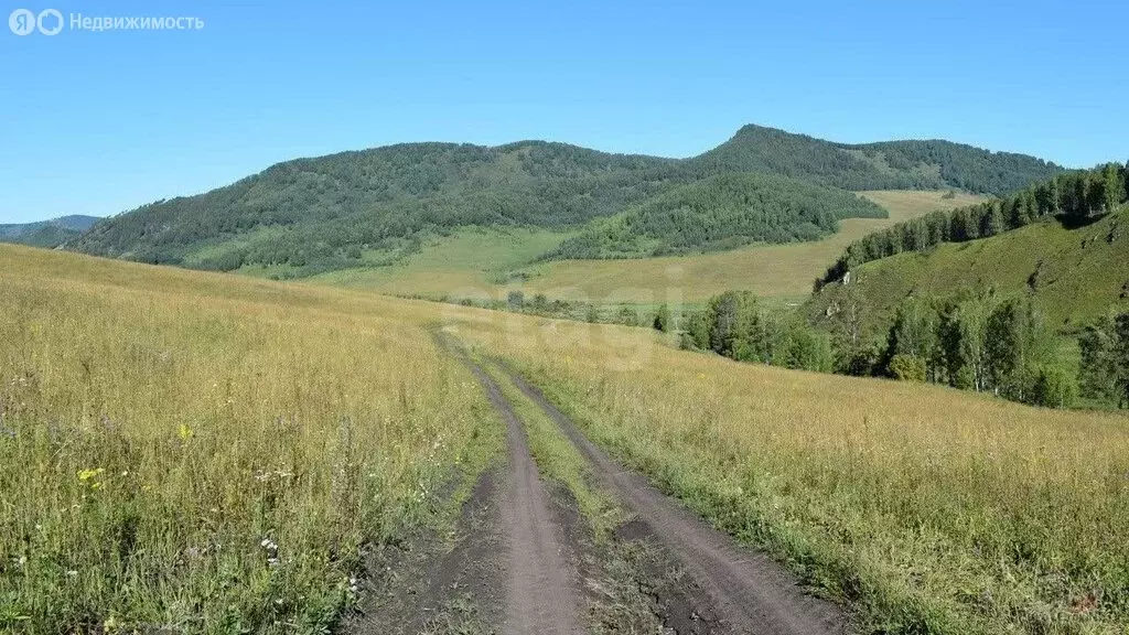 Участок в Туманово, Советская улица (250 м) - Фото 0