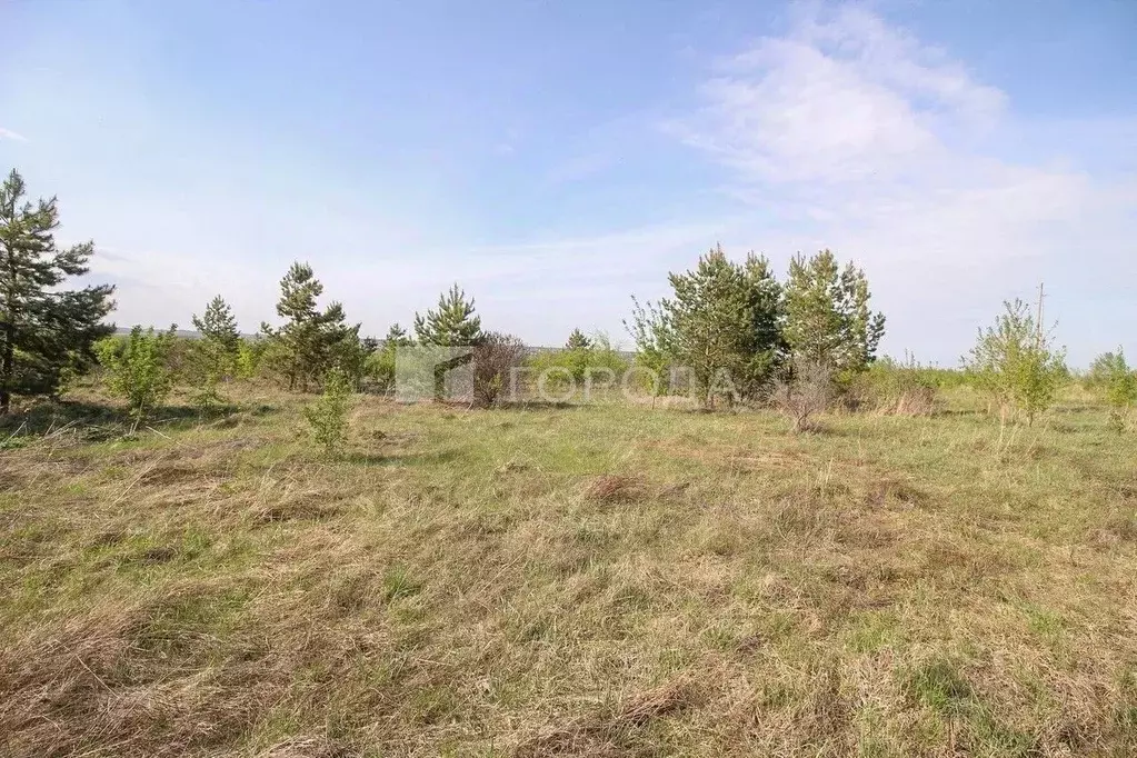 Участок в Алтайский край, Барнаул городской округ, пос. Бельмесево ул. ... - Фото 0