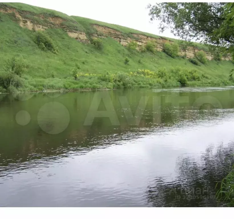 Участок в Орловская область, Мценский район, Чахинское с/пос, д. ... - Фото 1