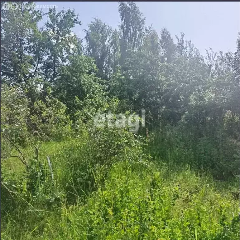 Участок в Кострома, СТ Строитель (7 м) - Фото 2