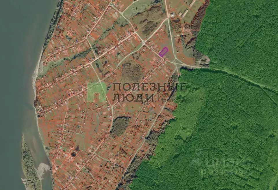 Участок в Томская область, Кожевниковский район, с. Киреевск ... - Фото 1