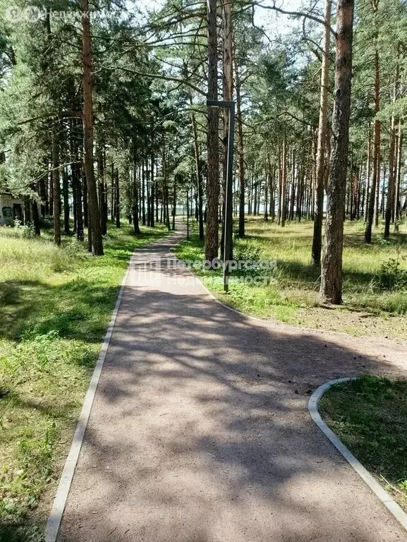 1-комнатная квартира: Сясьстрой, улица Карла Маркса, 4 (30.6 м) - Фото 2