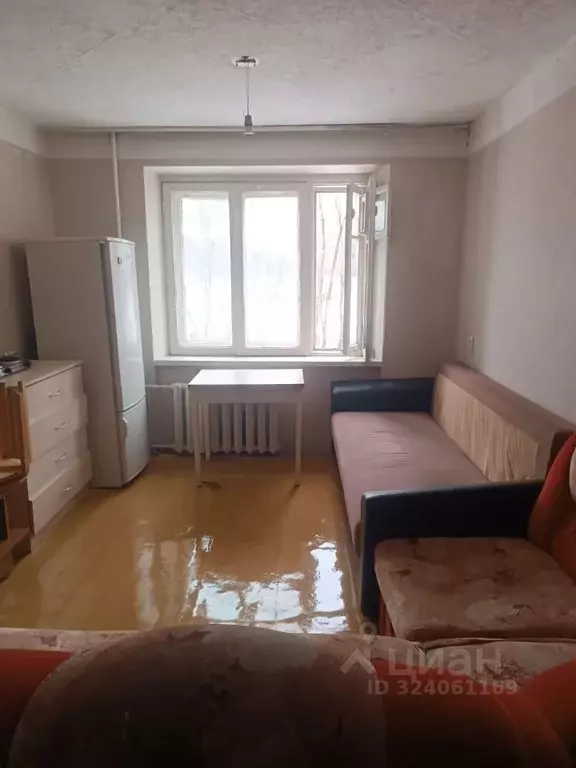 Комната Новосибирская область, Новосибирск ул. Энгельса, 14 (16.8 м) - Фото 2