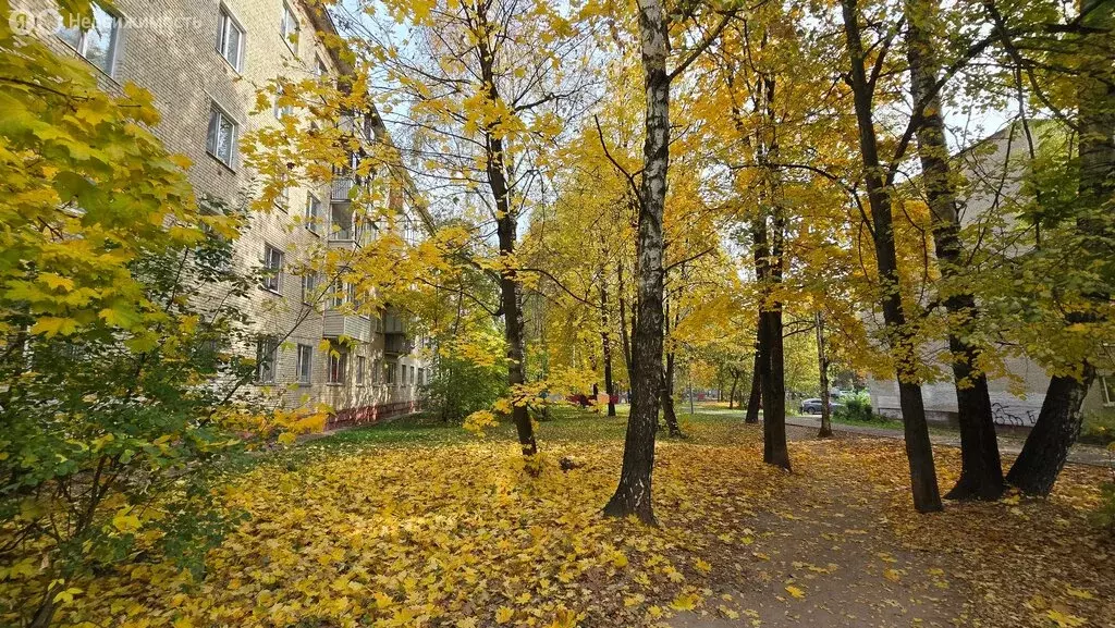 2-комнатная квартира: Истра, Юбилейная улица, 19 (45 м) - Фото 1