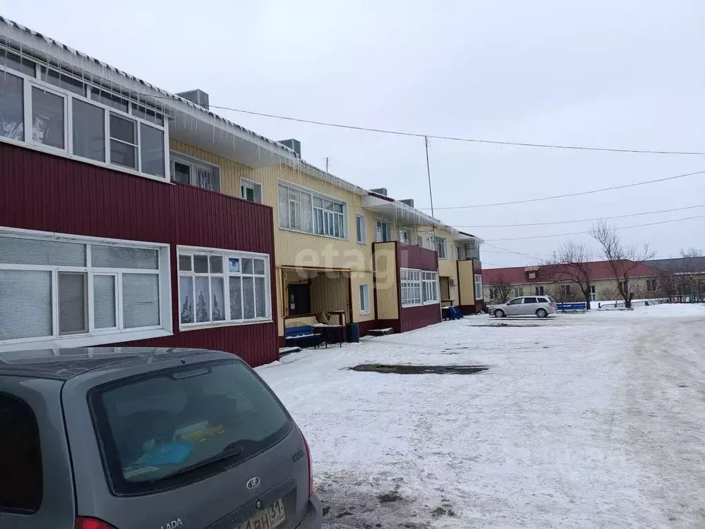 2-к кв. Белгородская область, Вейделевка рп ул. Гайдара, 10А (48.6 м) - Фото 0