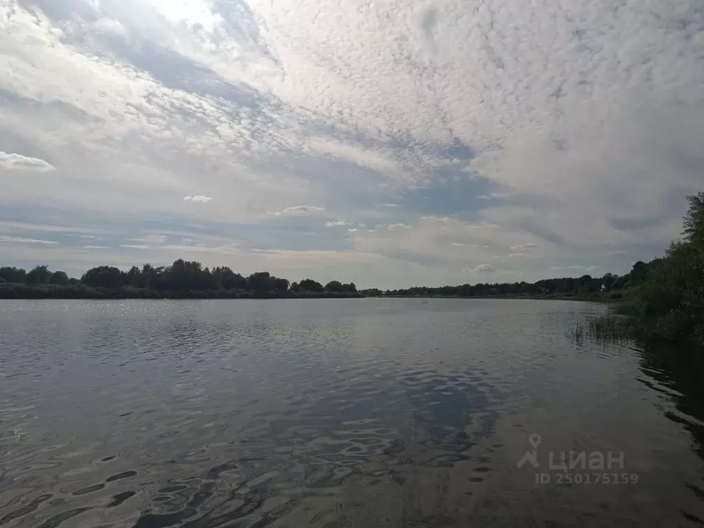 Участок в Новгородская область, Новгородский район, д. Сопки  (13.0 ... - Фото 0