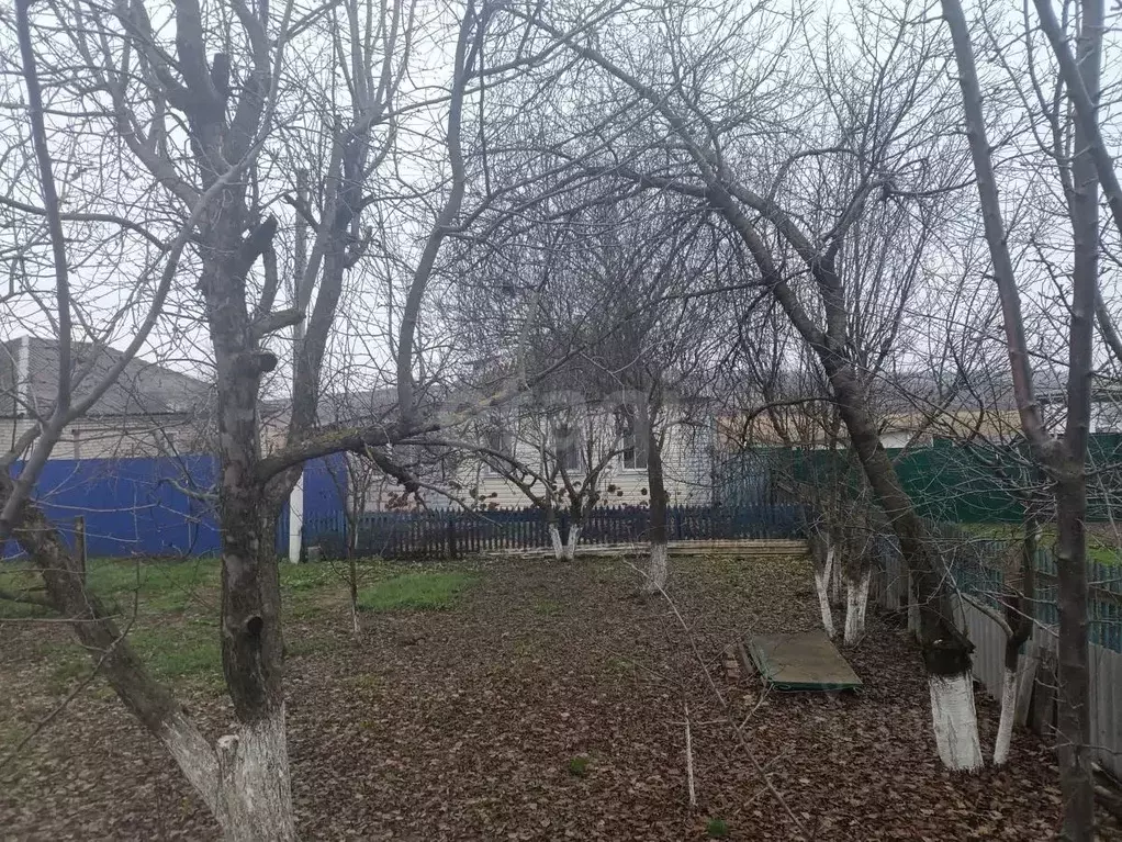 Дом в Белгородская область, Вейделевский район, с. Белый Колодезь ул. ... - Фото 1