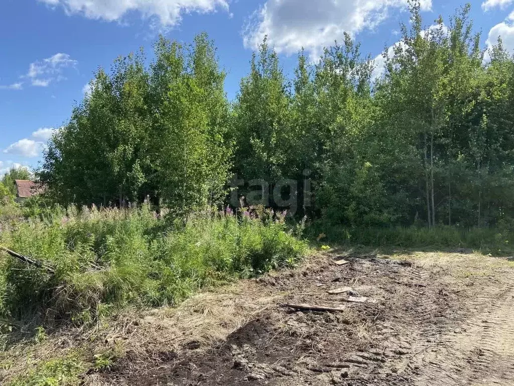 Участок в Тюменская область, Нижнетавдинский муниципальный округ, ... - Фото 1