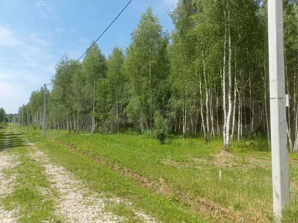 Участок 26,5 сот. (СНТ, ДНП) - Фото 1