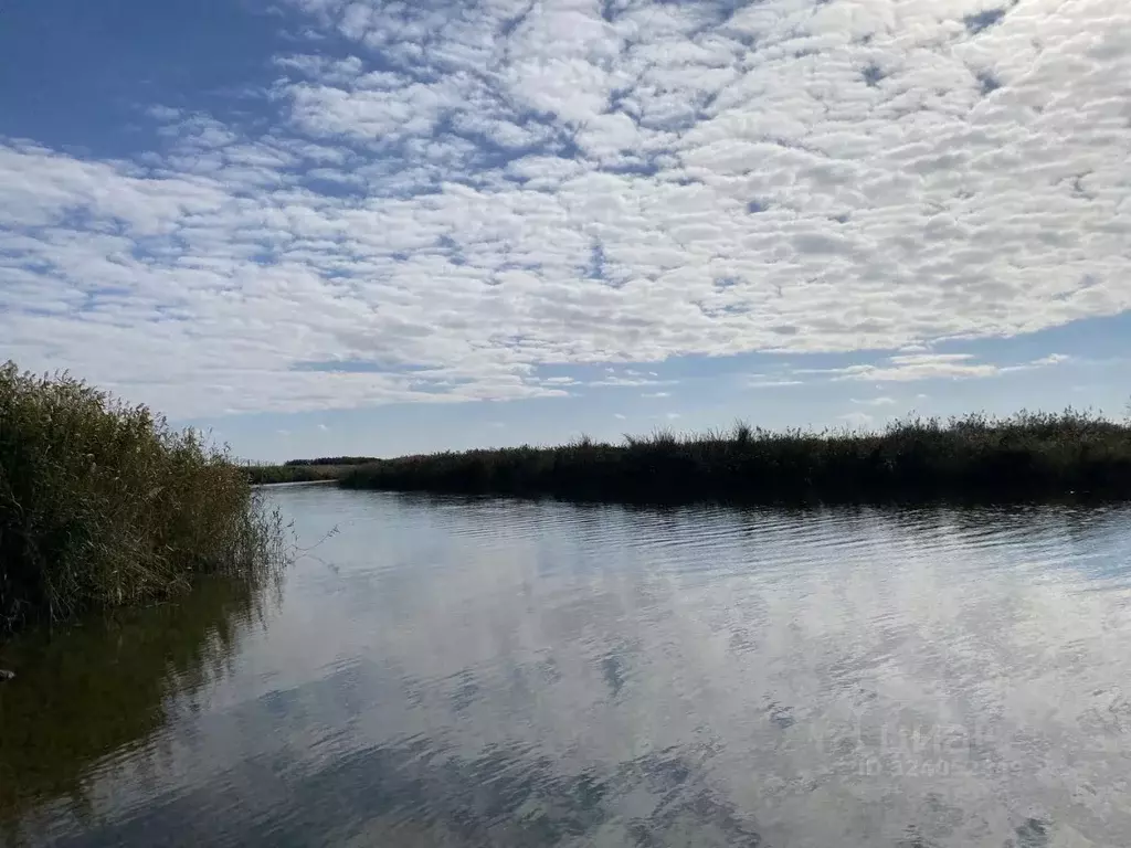 1-к кв. Ростовская область, Неклиновский район, с. Синявское Береговая ... - Фото 1