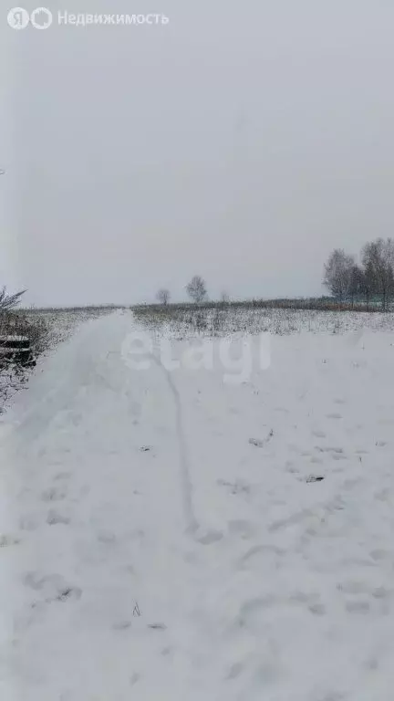 Участок в Московская область, городской округ Коломна, деревня Петрово ... - Фото 0