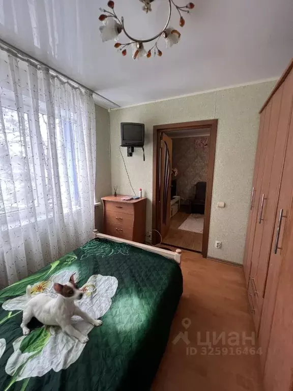 3-к кв. Курская область, Курск ул. Гагарина, 22Б (60.0 м) - Фото 2