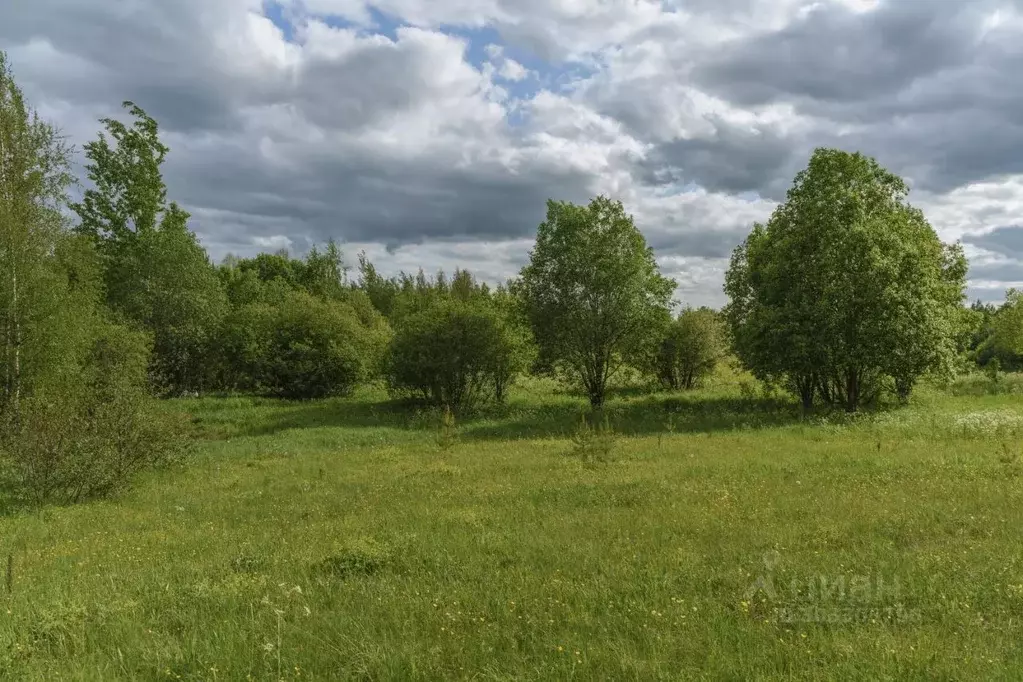 Участок в Ленинградская область, Всеволожский район, Лесколовское ... - Фото 1