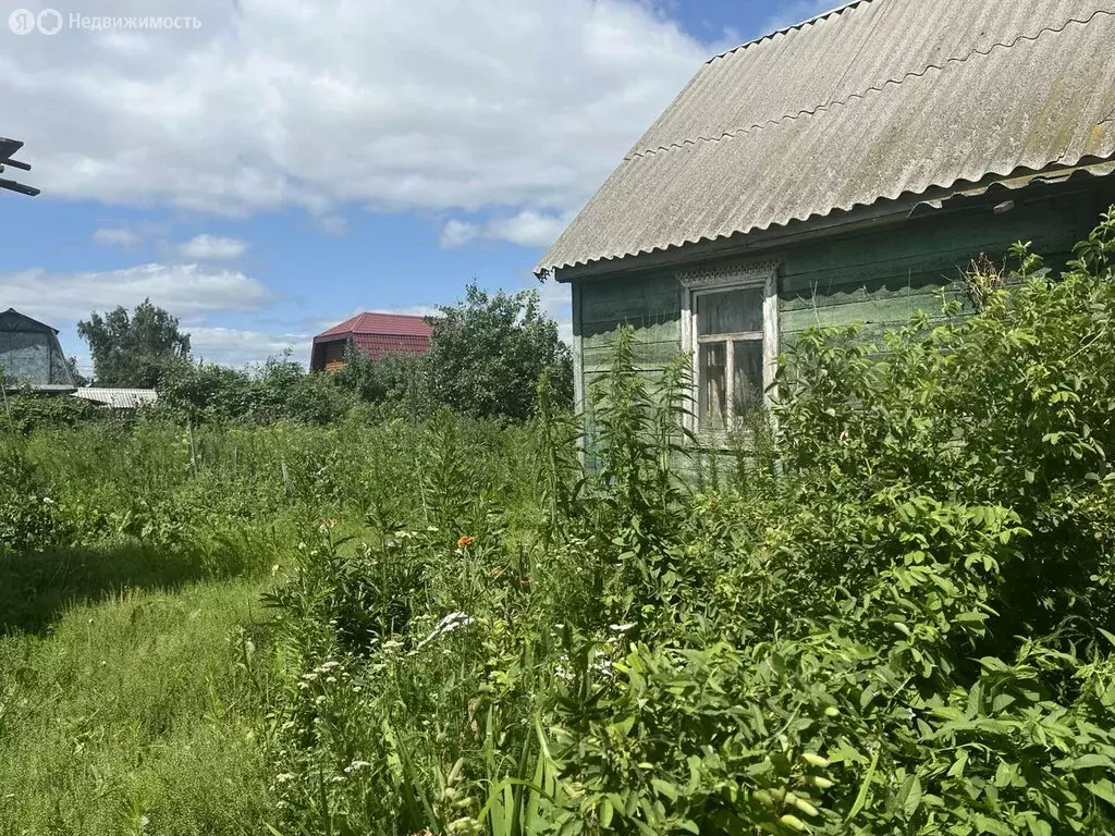 Участок в Омск, садоводческое некоммерческое товарищество Восток (5.9 ... - Фото 1