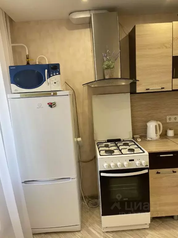 1-к кв. Псковская область, Псковский район, Завеличенская волость, д. ... - Фото 2