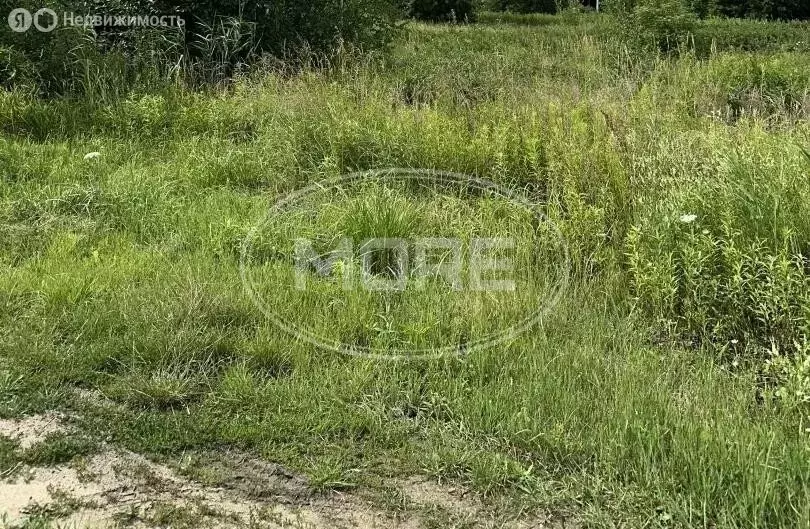 Участок в Балтийск, СНТ Балтийские Озерки (8.11 м) - Фото 2