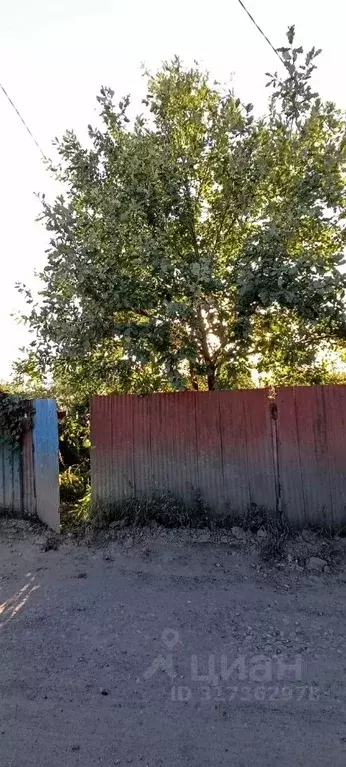 Участок в Курганская область, Курган Боровик СНТ,  (8.0 сот.) - Фото 1