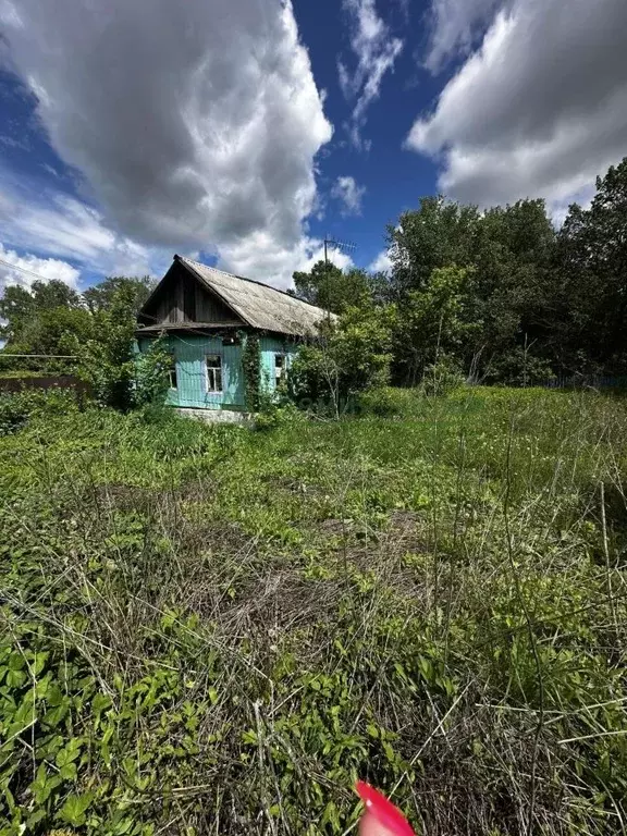 Участок в Саратовская область, Лысые Горы рп ул. Набережная (7.15 ... - Фото 1