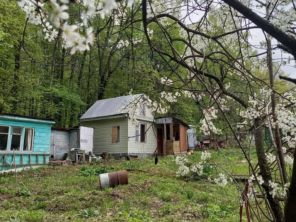 Участок в Нижегородская область, Нижний Новгород Заветы Мичурина Сад № ... - Фото 1