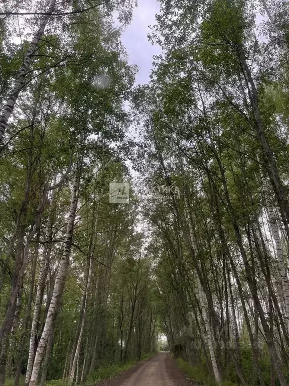 Дом в Московская область, Талдомский городской округ, д. ... - Фото 1