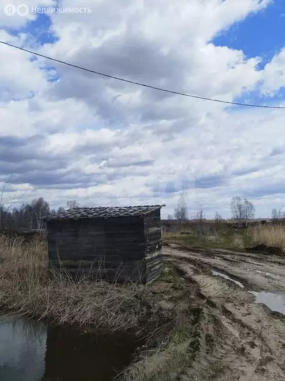 Участок в Тюмень, садовое товарищество Лаванда, 18-я улица (8 м) - Фото 1