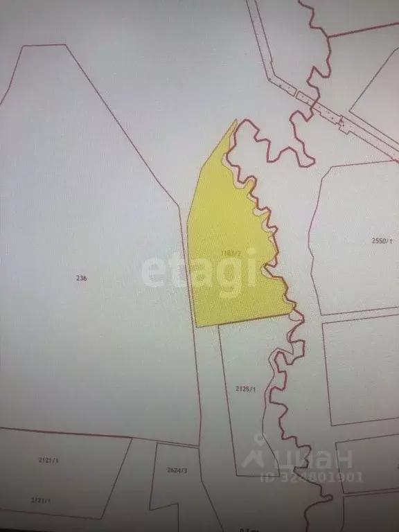 Участок в Амурская область, Бурейский муниципальный округ, с. ... - Фото 1