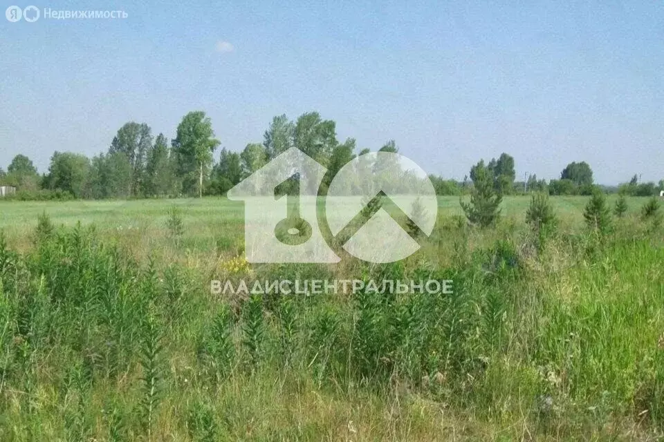Участок в Новосибирский район, Верх-Тулинский сельсовет, СНТ Романтик ... - Фото 1