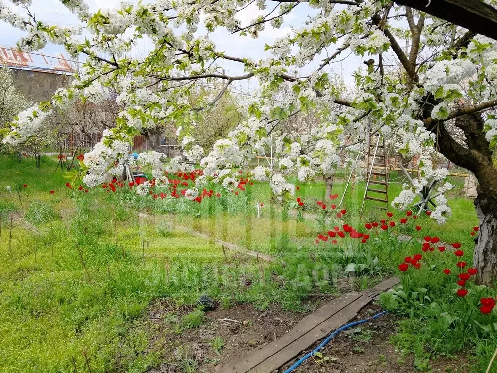 Участок в Таганрог, садовое товарищество Омега, 206 (6.34 м) - Фото 2
