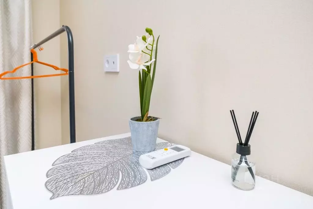 Студия Краснодарский край, Сочи ул. Искры, 88к2 (26.0 м) - Фото 2