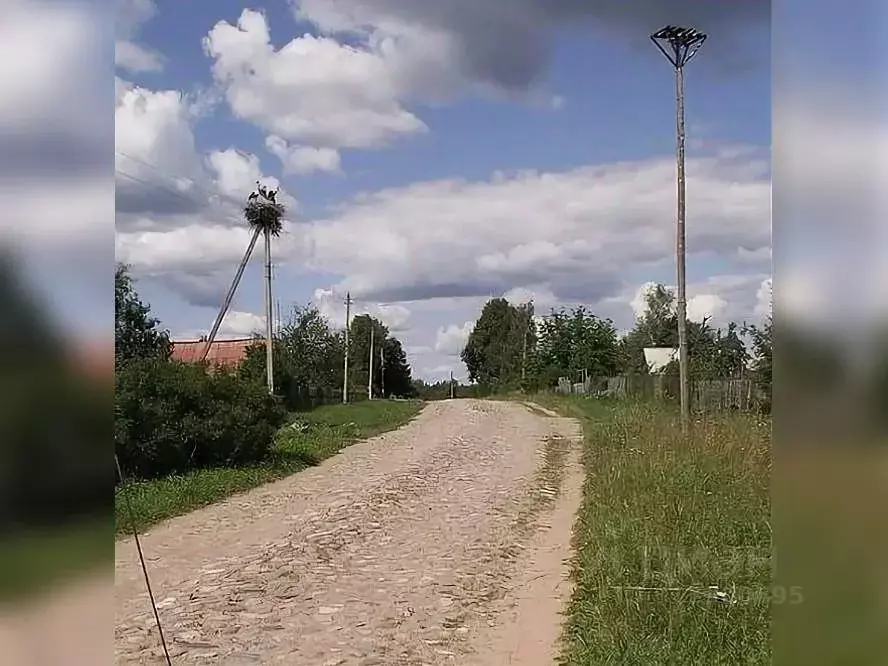 Коттедж в Псковская область, Стругокрасненский район, д. Бровск ул. ... - Фото 0