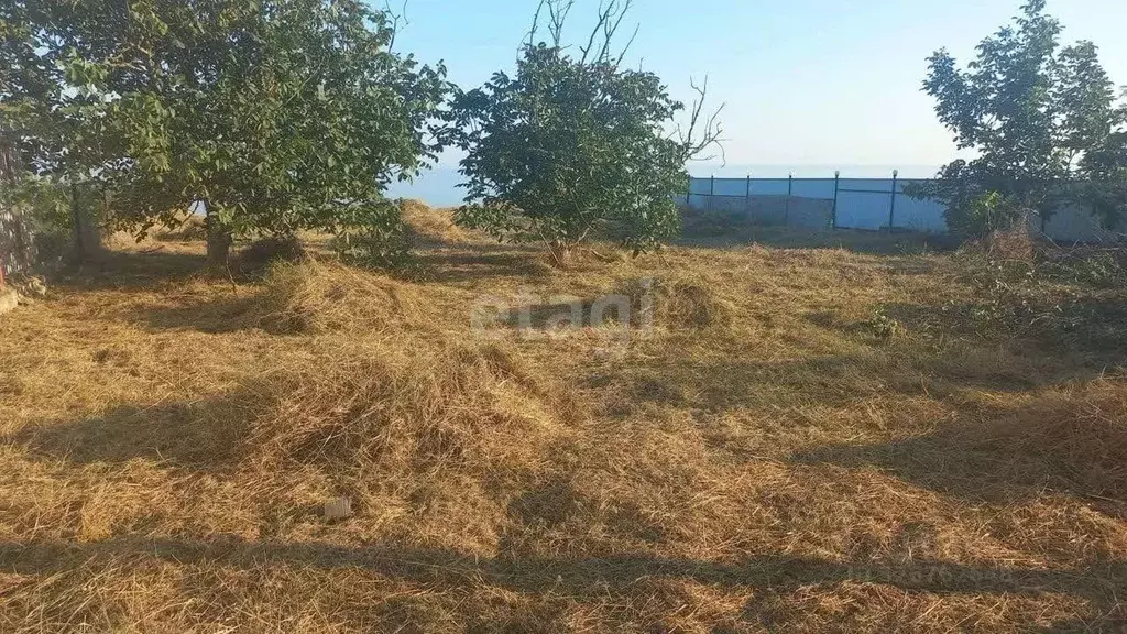 Участок в Ростовская область, Неклиновский район, Новобессергеневское ... - Фото 1