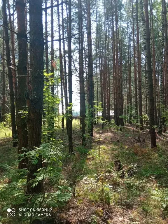 Участок в Нижегородская область, Городец  (6.3 сот.) - Фото 0