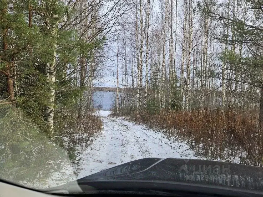 Участок в Новгородская область, Демянский муниципальный округ, д. ... - Фото 0