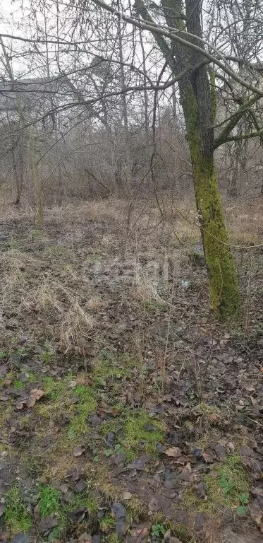 Участок в Калининград, СТ Победа, Ясная улица (11.1 м) - Фото 1