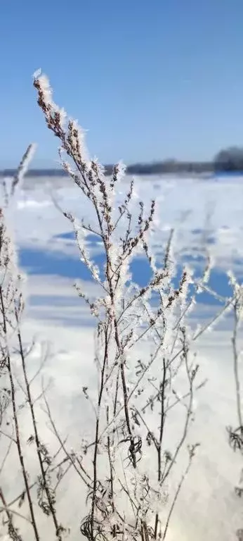 Дом в Ленинградская область, Приозерский район, Ларионовское с/пос, ... - Фото 2