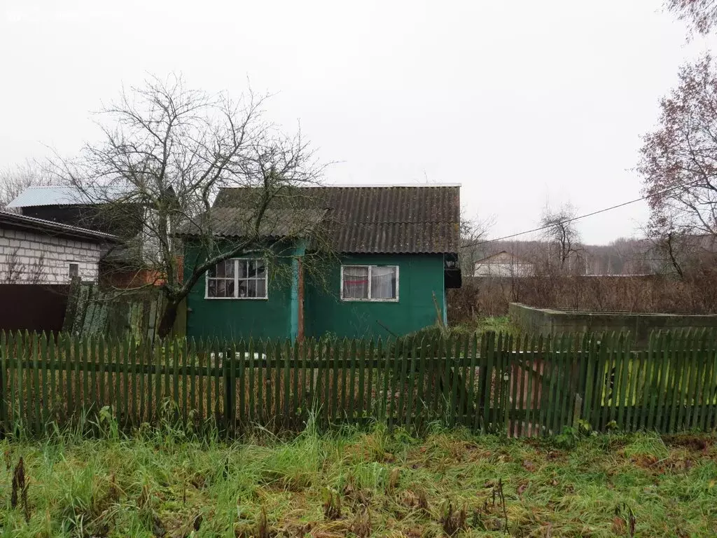 Участок в Московская область, муниципальный округ Зарайск, деревня ... - Фото 2