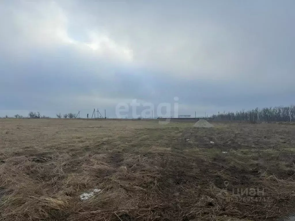 Участок в Ростовская область, Аксайский район, Большелогское с/пос, ... - Фото 1