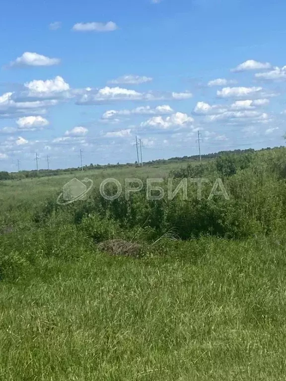 Участок в Тюменская область, Тюмень Лаванда садовое товарищество,  ... - Фото 1