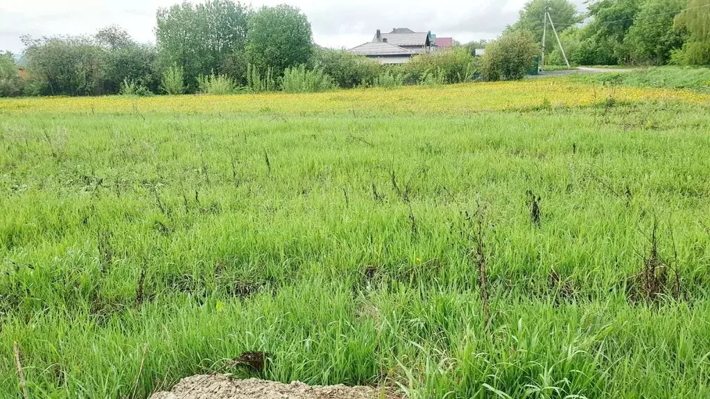 Участок в Владимирская область, Суздальский район, Боголюбовское ... - Фото 1