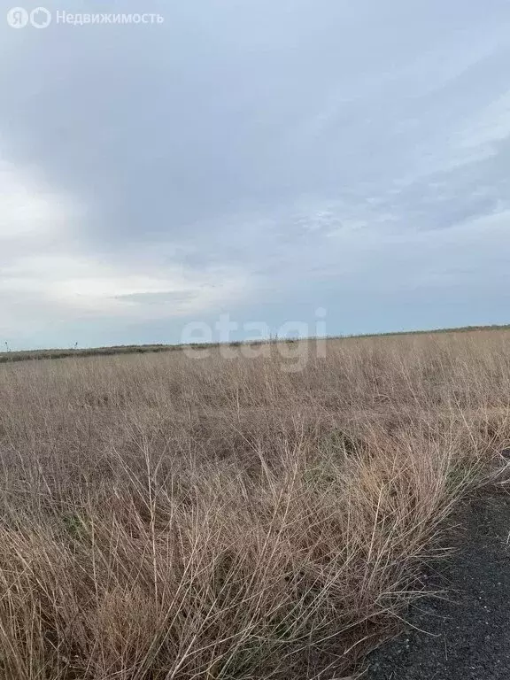 Участок в Ростовская область, слобода Родионово-Несветайская (8.3 м) - Фото 1