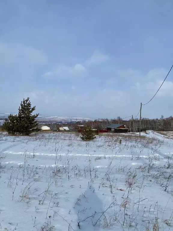 Участок в Красноярский край, Красноярск Бугач-2 садовое товарищество,  ... - Фото 0