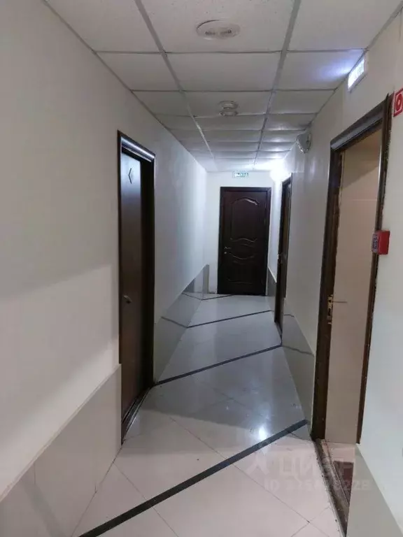 Помещение свободного назначения в Омская область, Омск ул. Фрунзе, 54 ... - Фото 2