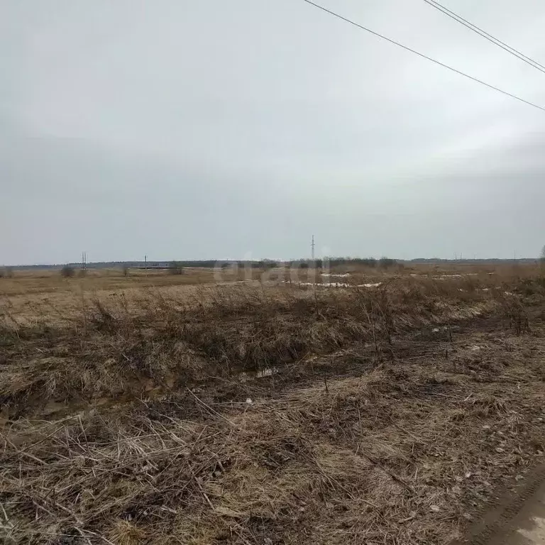 Участок в Вологодская область, пос. Ермаково  (3.0 сот.) - Фото 1