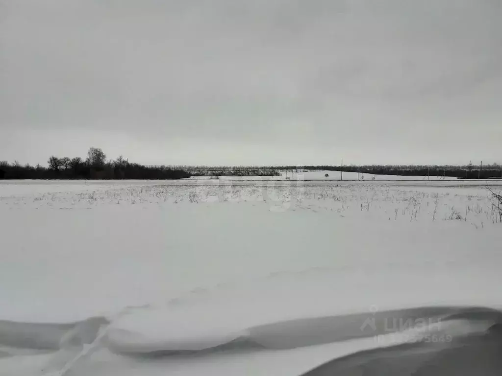 Участок в Белгородская область, Красногвардейский район, Утянское ... - Фото 2