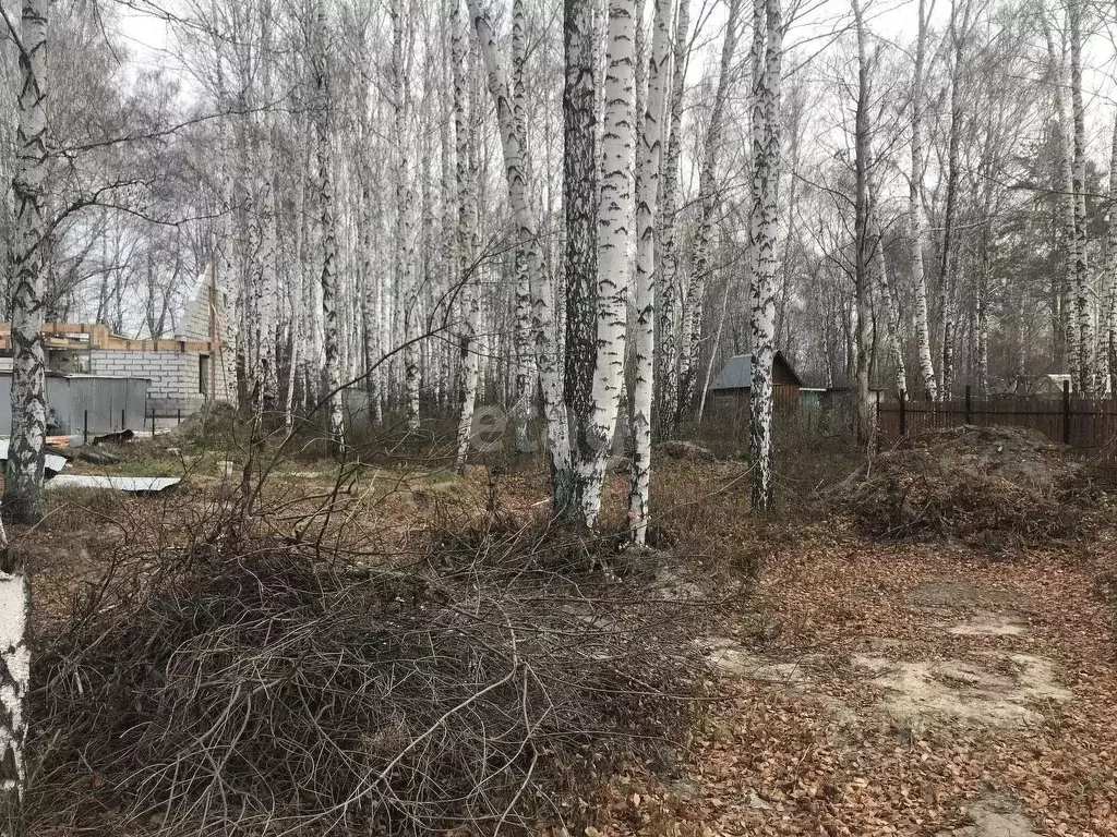 Дом в Тюменская область, Тюмень Электрон СНТ, ул. Веселая, 4 (100 м) - Фото 0