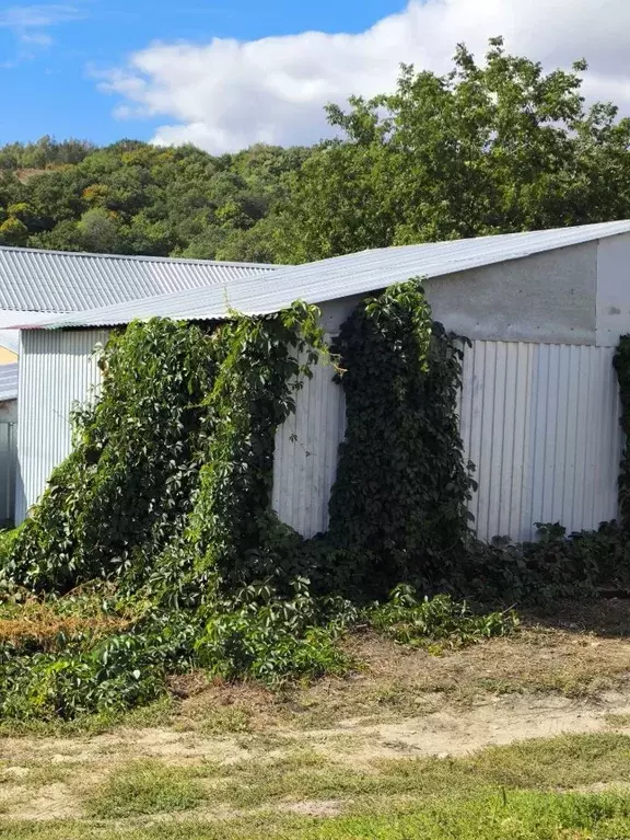 Дом в Саратовская область, пос. Рейник ул. Садовая (52 м) - Фото 2