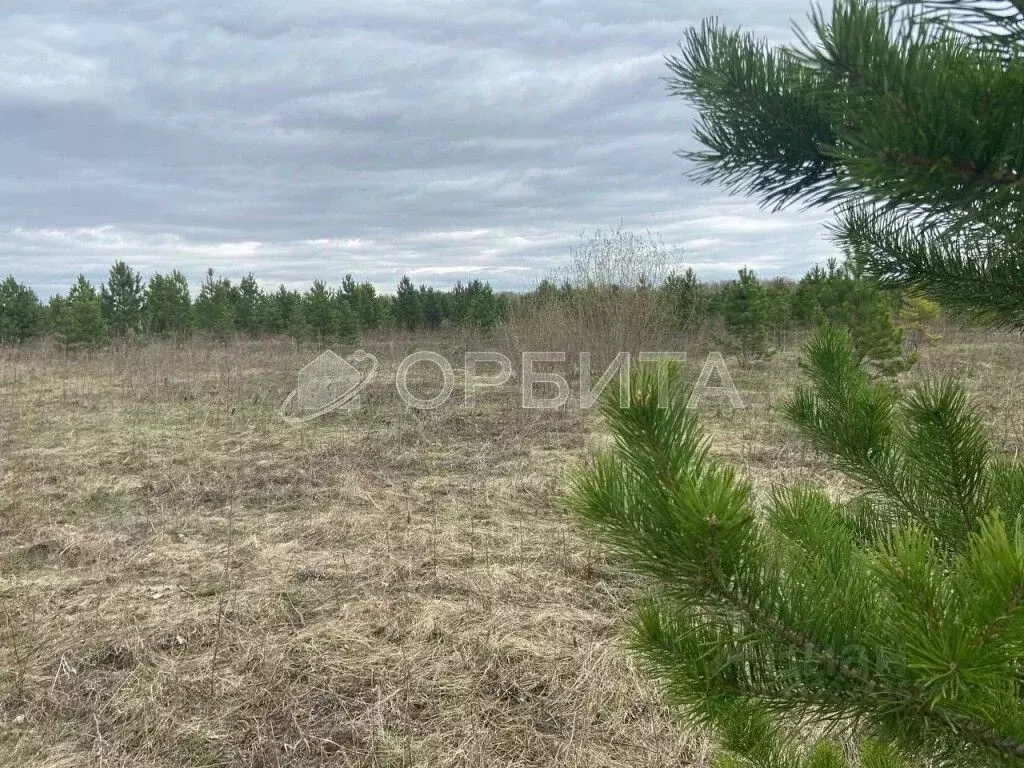 Участок в Тюменская область, Тюменский район, с. Горьковка  (9.65 ... - Фото 0