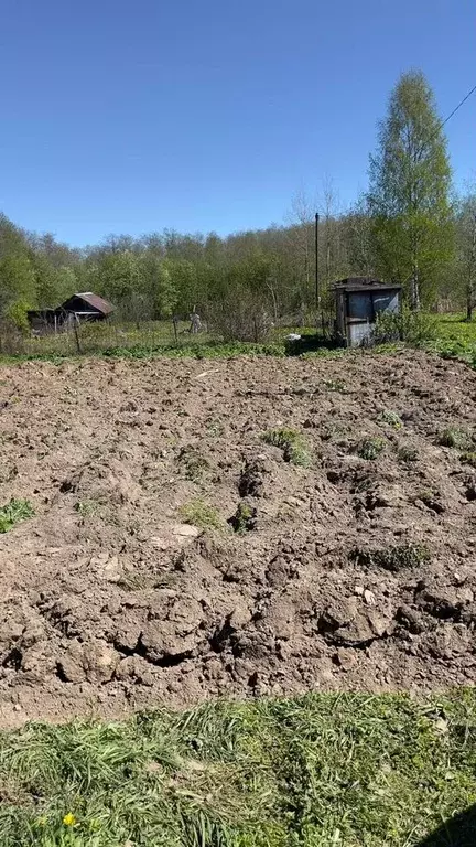 Участок 6 сот. (СНТ, ДНП) - Фото 1